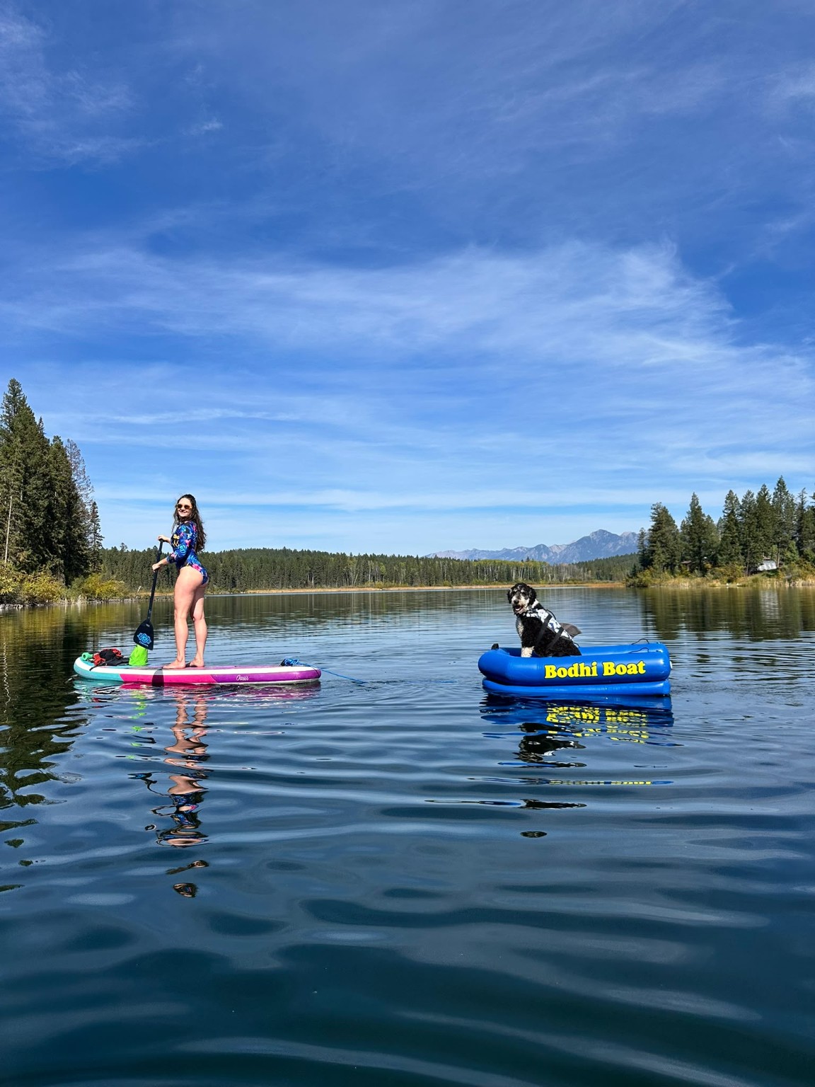 Woman on paddleboard towing dog in Bodhi Boat on mountain lake