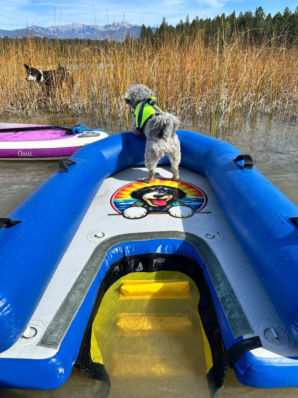 Close-up of the Bodhi Boat interior deck and entry ladder with the mascot logo